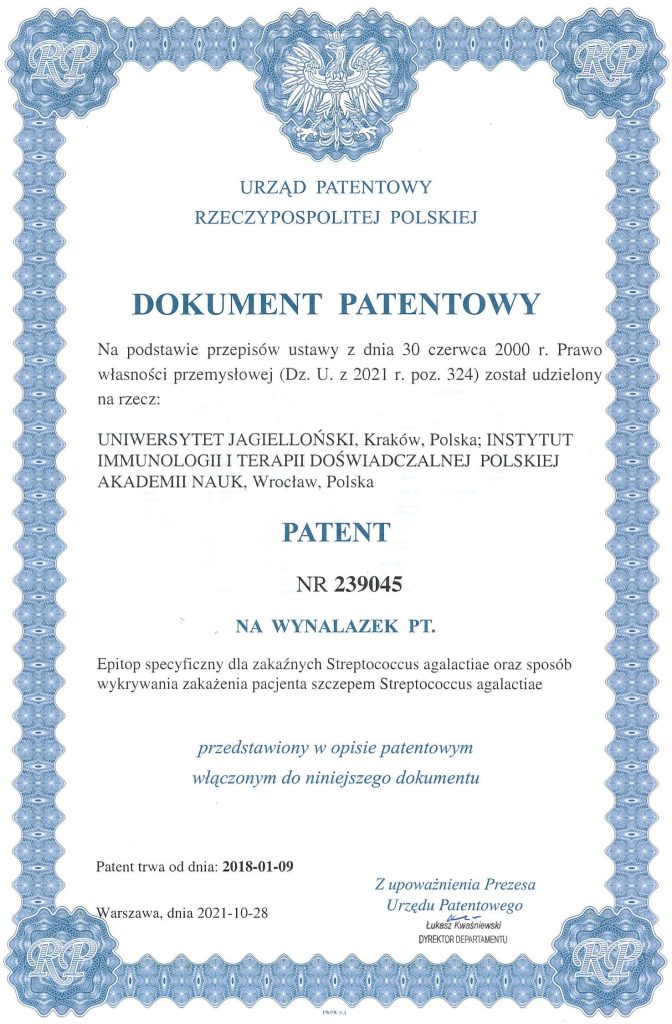 Zdjęcie dokumentu patentowego